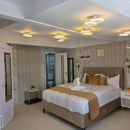 Апартаменты Iancu Jianu Premium *