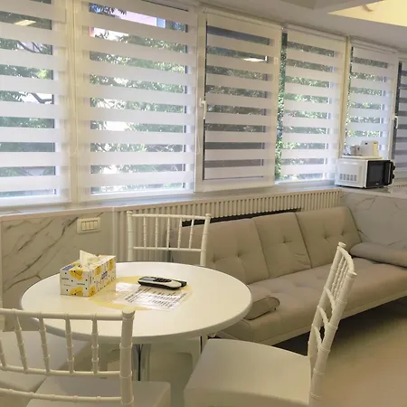 Апартаменты Iancu Jianu Premium *