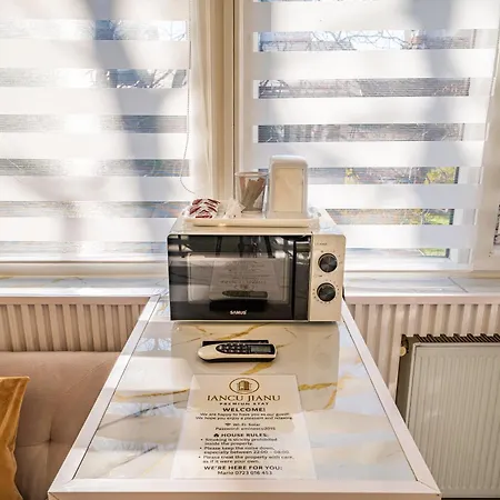 Apartment Iancu Jianu Premium *