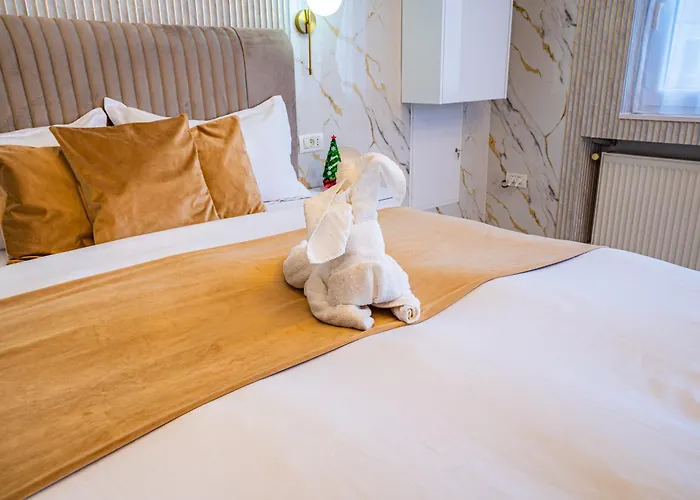 Apartament Iancu Jianu Premium *