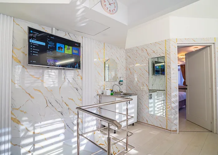 Apartman Iancu Jianu Premium *