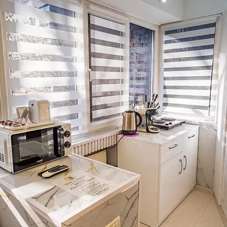 Iancu Jianu Premium Appartement *